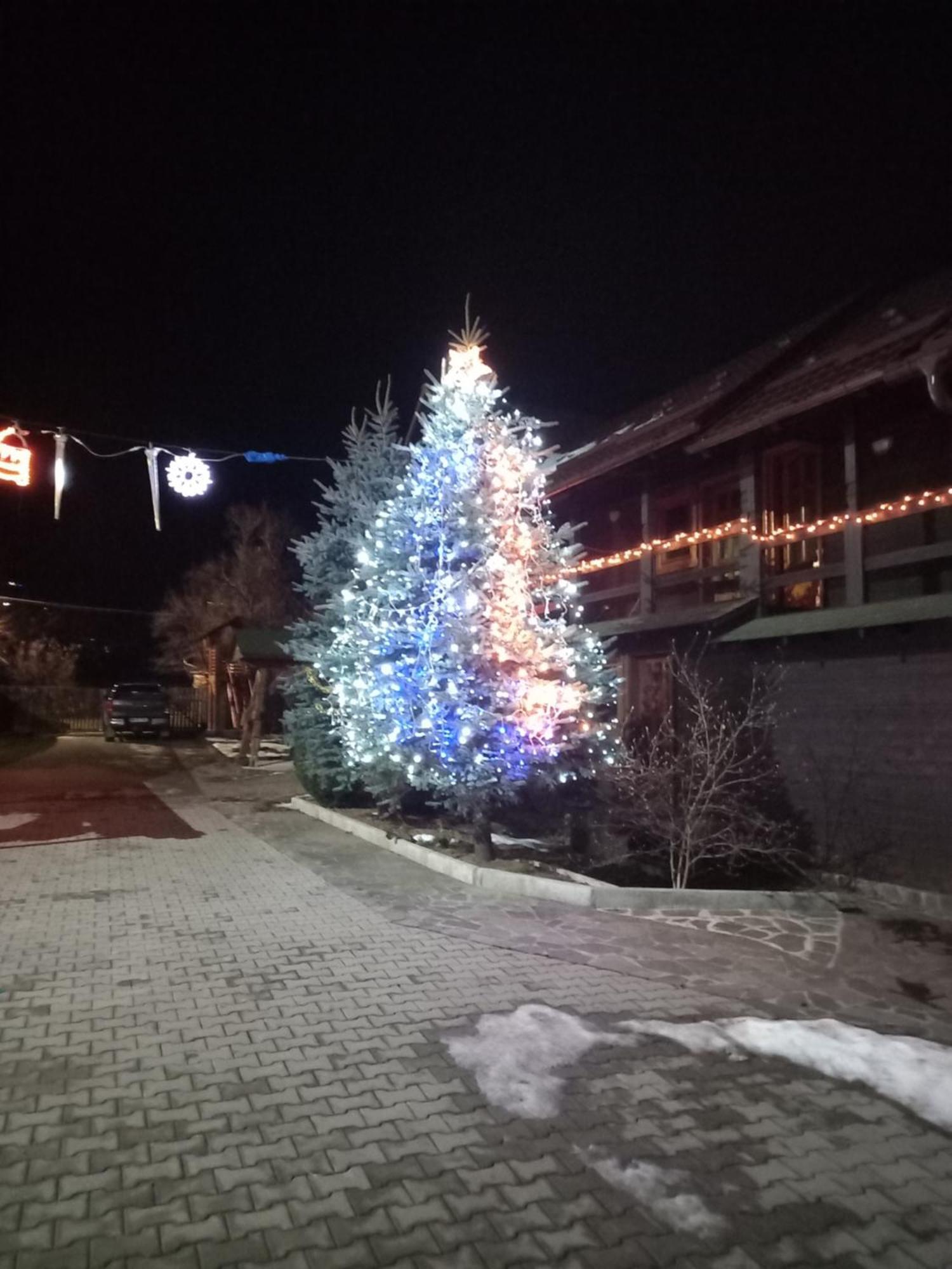 Pensiunea Poiana Borşa Exterior foto